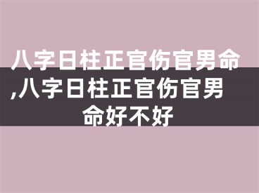 八字日柱正官伤官男命,八字日柱正官伤官男命好不好
