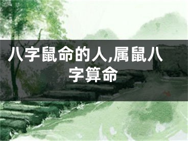 八字鼠命的人,属鼠八字算命