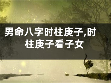 男命八字时柱庚子,时柱庚子看子女
