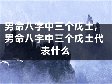男命八字中三个戊土,男命八字中三个戊土代表什么