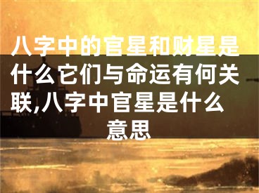 八字中的官星和财星是什么它们与命运有何关联,八字中官星是什么意思