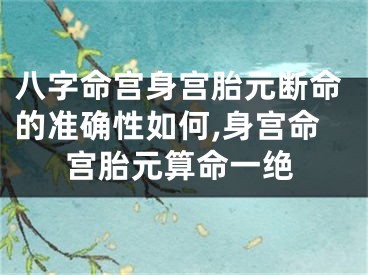 八字命宫身宫胎元断命的准确性如何,身宫命宫胎元算命一绝