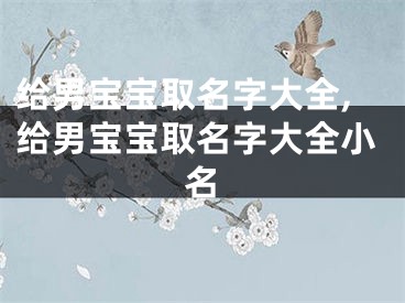 给男宝宝取名字大全,给男宝宝取名字大全小名