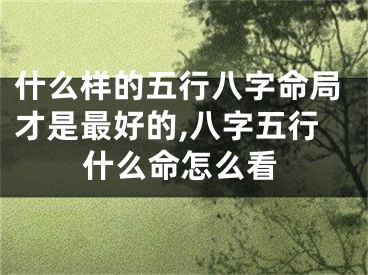 什么样的五行八字命局才是最好的,八字五行什么命怎么看