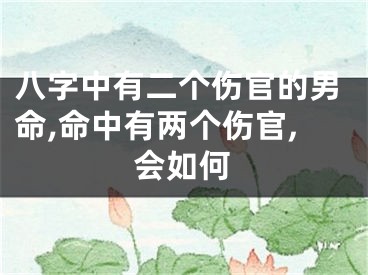 八字中有二个伤官的男命,命中有两个伤官,会如何