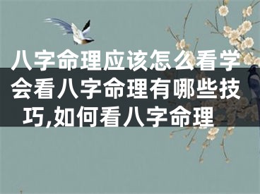 八字命理应该怎么看学会看八字命理有哪些技巧,如何看八字命理