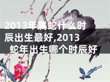 2013年属蛇什么时辰出生最好,2013蛇年出生哪个时辰好