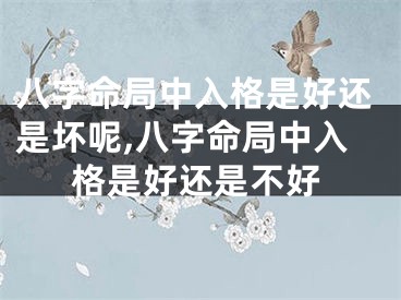 八字命局中入格是好还是坏呢,八字命局中入格是好还是不好