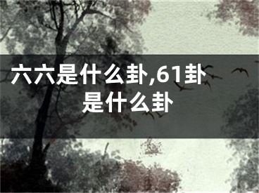 六六是什么卦,61卦是什么卦
