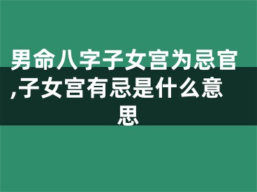 男命八字子女宫为忌官,子女宫有忌是什么意思
