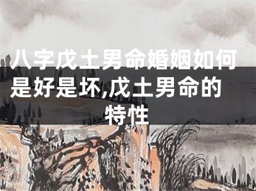 八字戊土男命婚姻如何是好是坏,戊土男命的特性