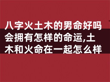 八字火土木的男命好吗会拥有怎样的命运,土木和火命在一起怎么样