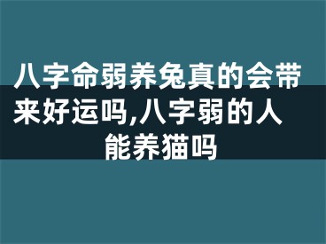 八字命弱养兔真的会带来好运吗,八字弱的人能养猫吗