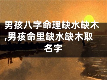 男孩八字命理缺水缺木,男孩命里缺水缺木取名字