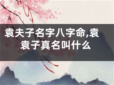 袁夫子名字八字命,袁袁子真名叫什么