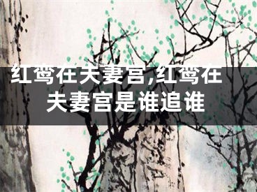 红鸾在夫妻宫,红鸾在夫妻宫是谁追谁
