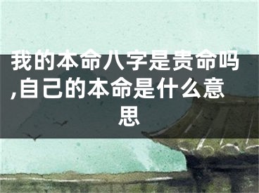 我的本命八字是贵命吗,自己的本命是什么意思