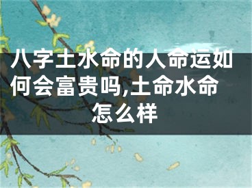 八字土水命的人命运如何会富贵吗,土命水命怎么样