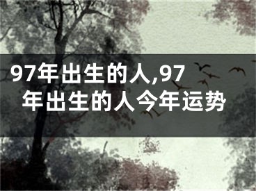 97年出生的人,97年出生的人今年运势