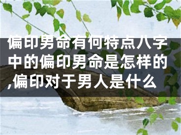 偏印男命有何特点八字中的偏印男命是怎样的,偏印对于男人是什么