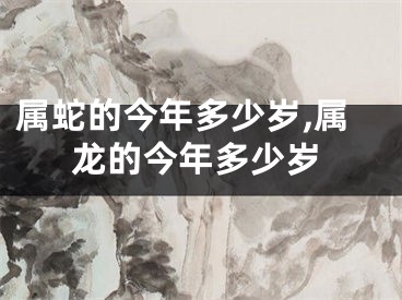 属蛇的今年多少岁,属龙的今年多少岁