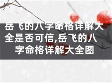 岳飞的八字命格详解大全是否可信,岳飞的八字命格详解大全图