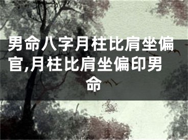 男命八字月柱比肩坐偏官,月柱比肩坐偏印男命