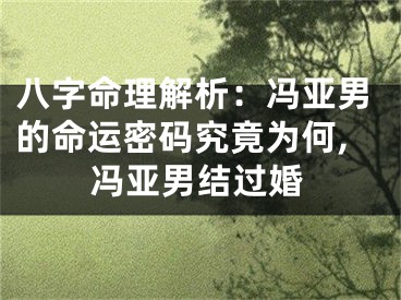 八字命理解析：冯亚男的命运密码究竟为何,冯亚男结过婚
