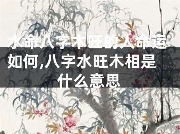 水命八字木旺的人命运如何,八字水旺木相是什么意思