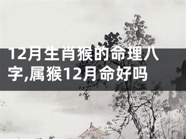 12月生肖猴的命理八字,属猴12月命好吗