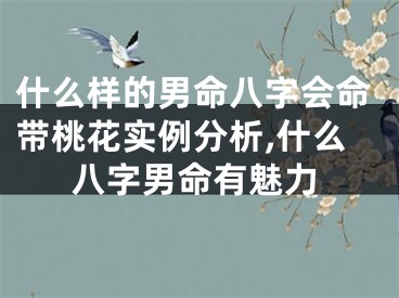 什么样的男命八字会命带桃花实例分析,什么八字男命有魅力
