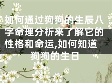 如何通过狗狗的生辰八字命理分析来了解它的性格和命运,如何知道狗狗的生日