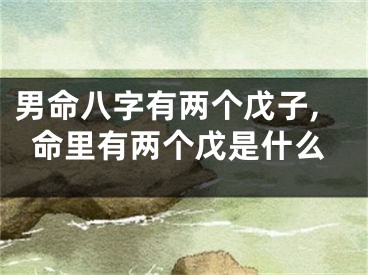 男命八字有两个戊子,命里有两个戊是什么