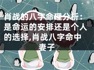 肖战的八字命理分析：是命运的安排还是个人的选择,肖战八字命中妻子