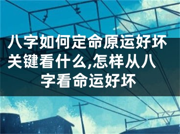 八字如何定命原运好坏关键看什么,怎样从八字看命运好坏