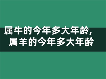 属牛的今年多大年龄,属羊的今年多大年龄