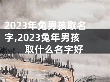 2023年兔男孩取名字,2023兔年男孩取什么名字好