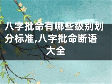 八字批命有哪些级别划分标准,八字批命断语大全