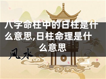 八字命柱中的日柱是什么意思,日柱命理是什么意思