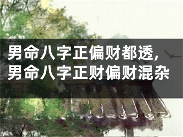 男命八字正偏财都透,男命八字正财偏财混杂