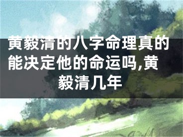 黄毅清的八字命理真的能决定他的命运吗,黄毅清几年