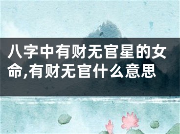 八字中有财无官星的女命,有财无官什么意思