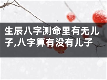生辰八字测命里有无儿子,八字算有没有儿子