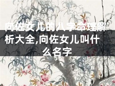 向佐女儿的八字命理解析大全,向佐女儿叫什么名字