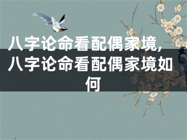 八字论命看配偶家境,八字论命看配偶家境如何