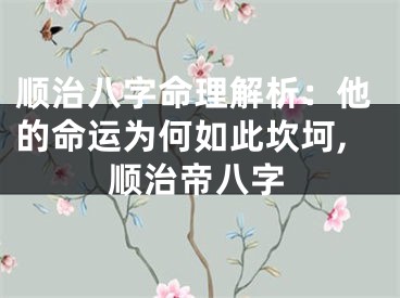 顺治八字命理解析：他的命运为何如此坎坷,顺治帝八字