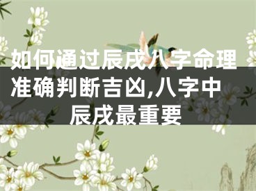 如何通过辰戌八字命理准确判断吉凶,八字中辰戌最重要