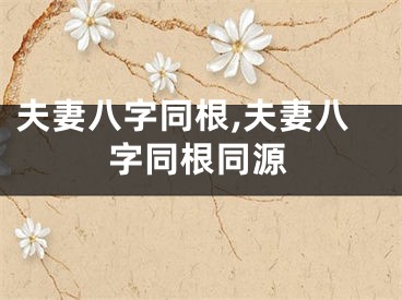 夫妻八字同根,夫妻八字同根同源