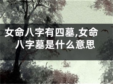 女命八字有四墓,女命八字墓是什么意思