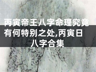 丙寅帝王八字命理究竟有何特别之处,丙寅日八字合集